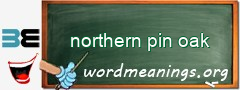 WordMeaning blackboard for northern pin oak